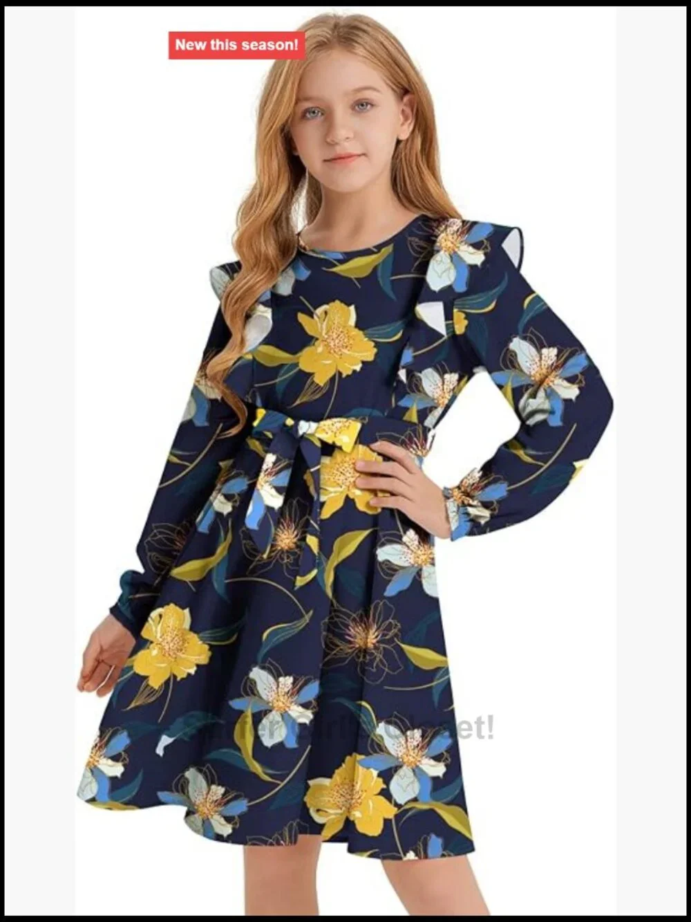 Ruffle Trim A-line Swing Dress with Belt